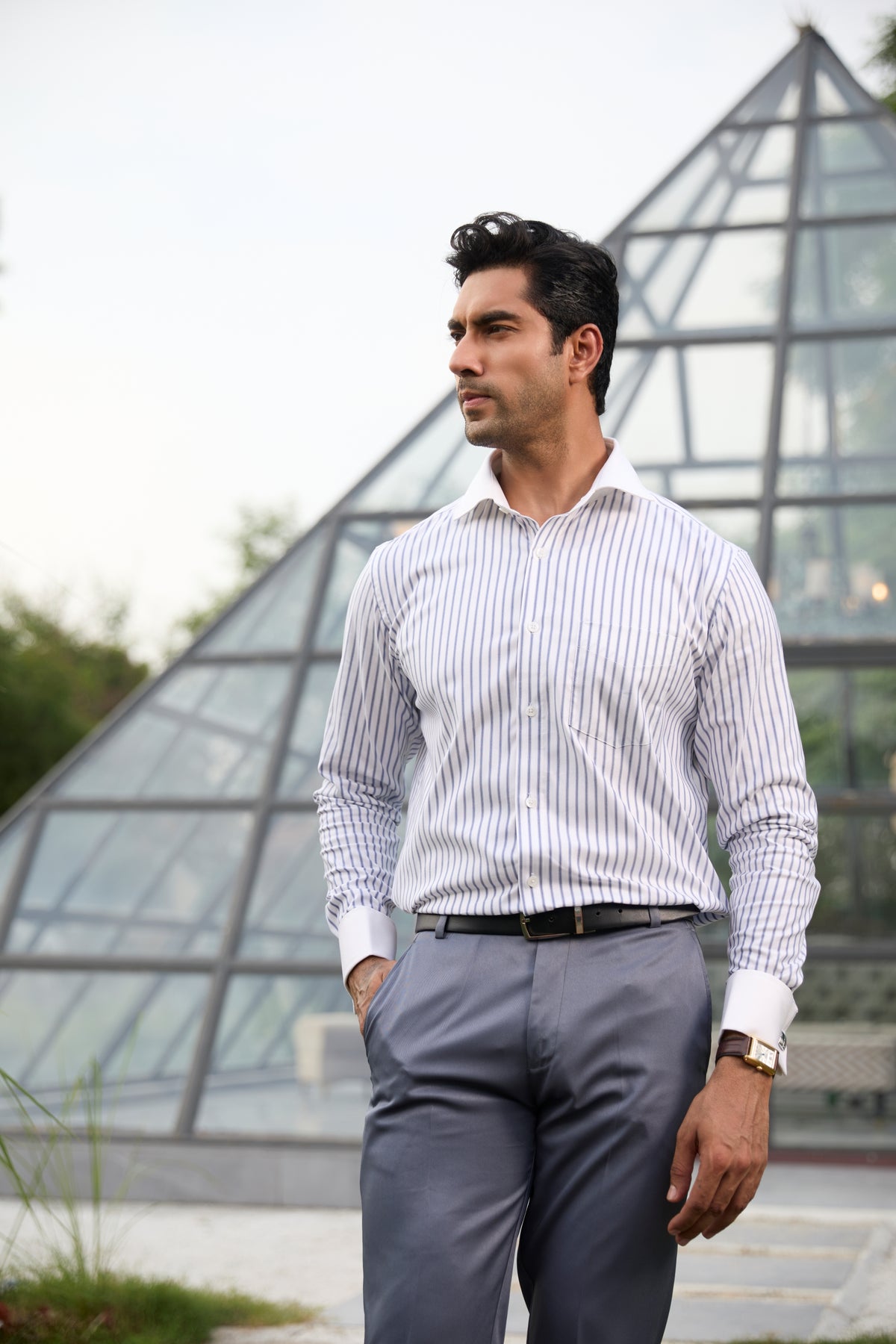 The Cambridge Stripe - Banker Collar