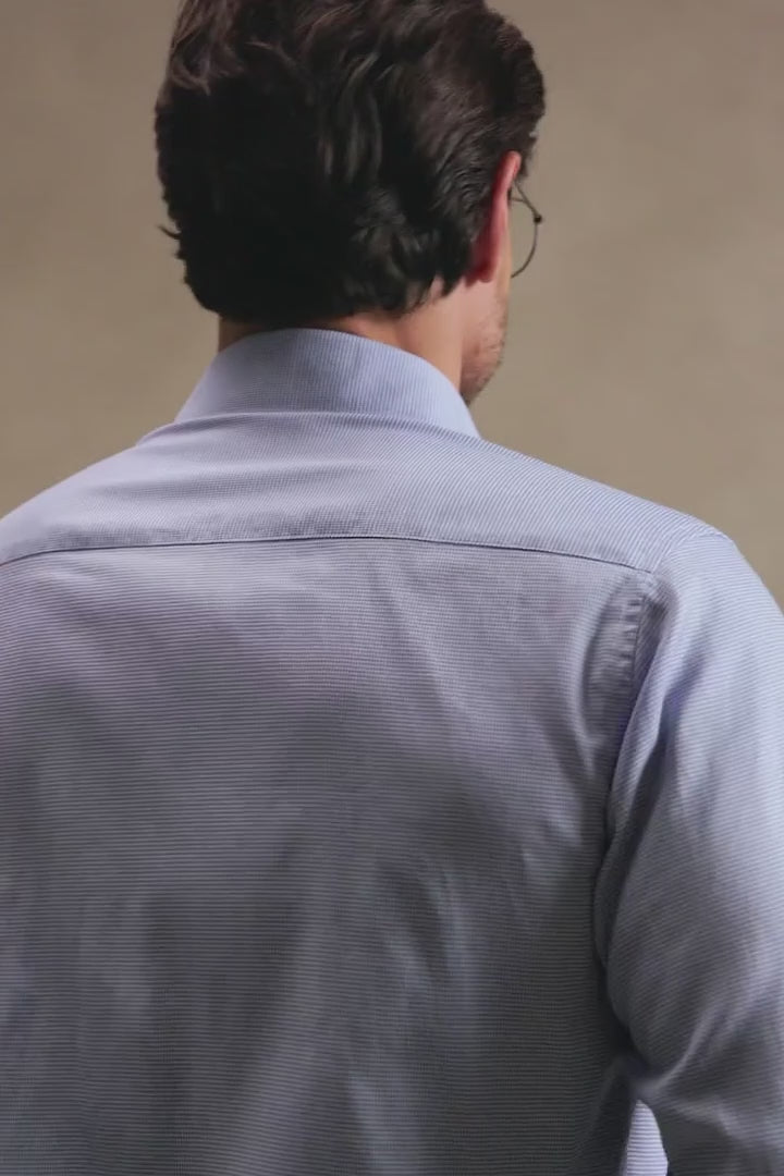 Blue Prestige Puppytooth
